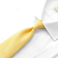 シルクホップサックソリッドネクタイ／4502072（イエロー） | Silk Tie
